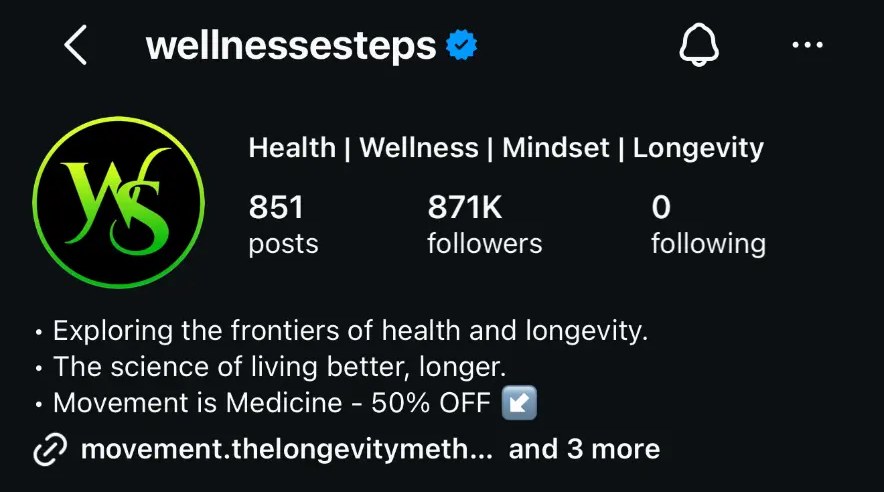 @wellnesssteps theme page